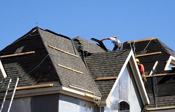 Best Metal Roofing Contractor  in Winthrop, MN