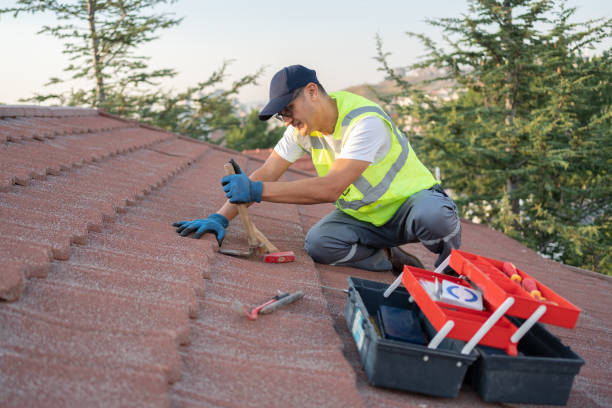 Gutter Installation and Roofing in Winthrop, MN