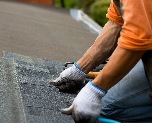Best Roof Maintenance Services  in Winthrop, MN
