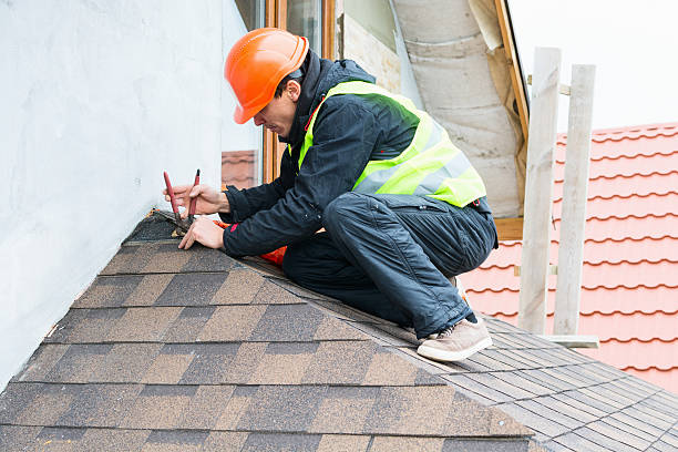 Best Shingle Roofing Installation  in Winthrop, MN