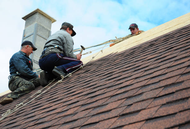 Best Emergency Roof Repair  in Winthrop, MN