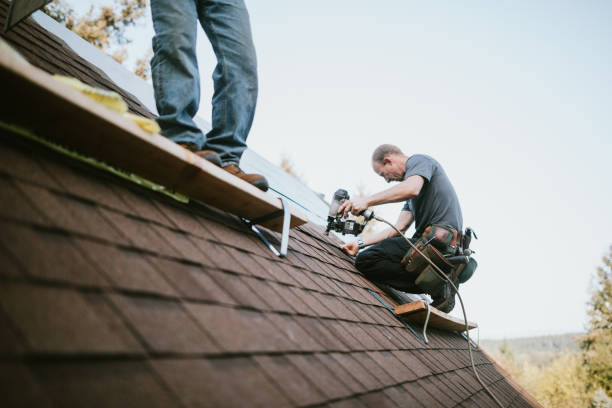 Best Best Roofing Contractors  in Winthrop, MN