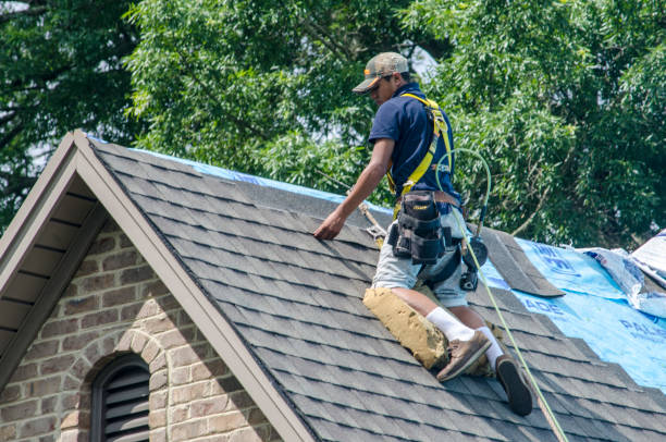 Best New Roof Installation  in Winthrop, MN