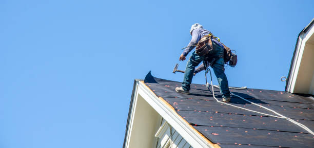 Best Roof Waterproofing Services  in Winthrop, MN